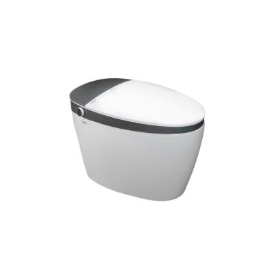 智能馬桶 W21022C